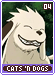 catsndogs04