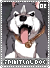 spiritualdog02