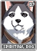 spiritualdog07
