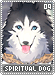 spiritualdog09