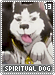 spiritualdog13