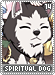 spiritualdog14
