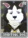 spiritualdog20