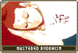 buddhism mastered
